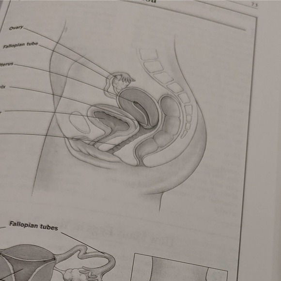 What To Expect Before You're Expecting & First Year (Paperback) - Baby Books Lot - Picture 5 of 12